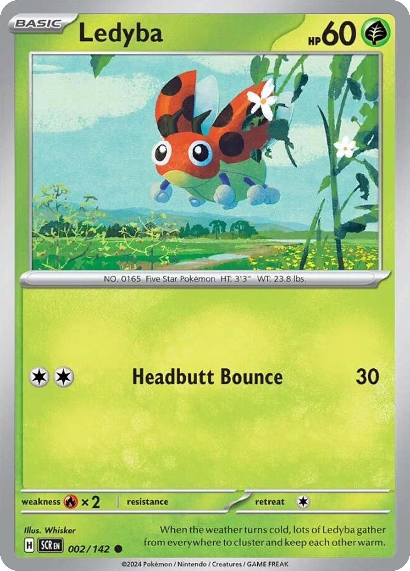 Ledyba (English)