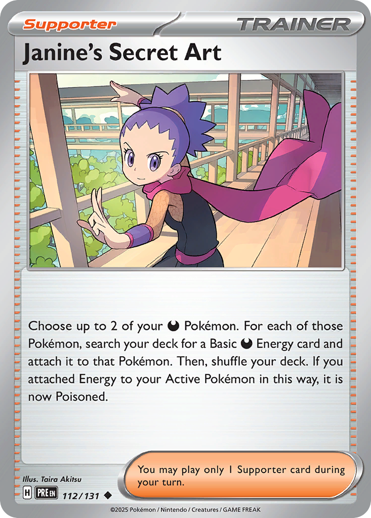 Janine's Secret Art (English)