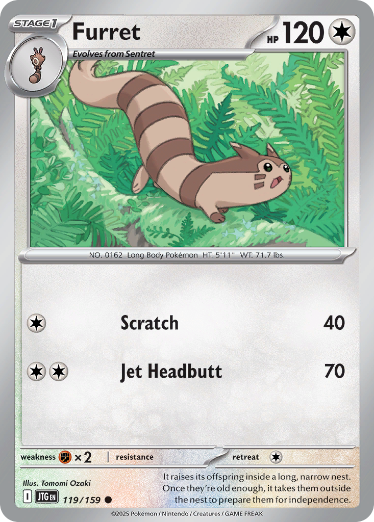 Furret (English)