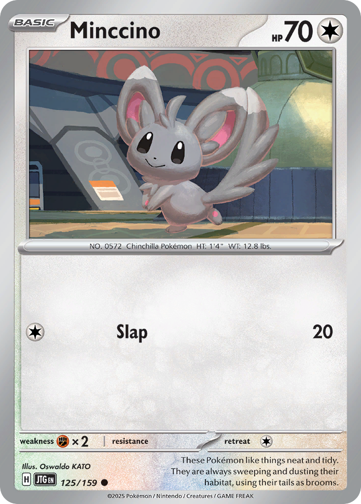 Minccino (English)