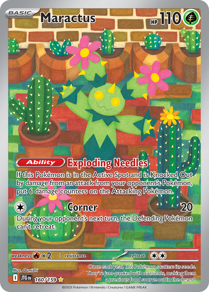 Maractus (IR) (English)