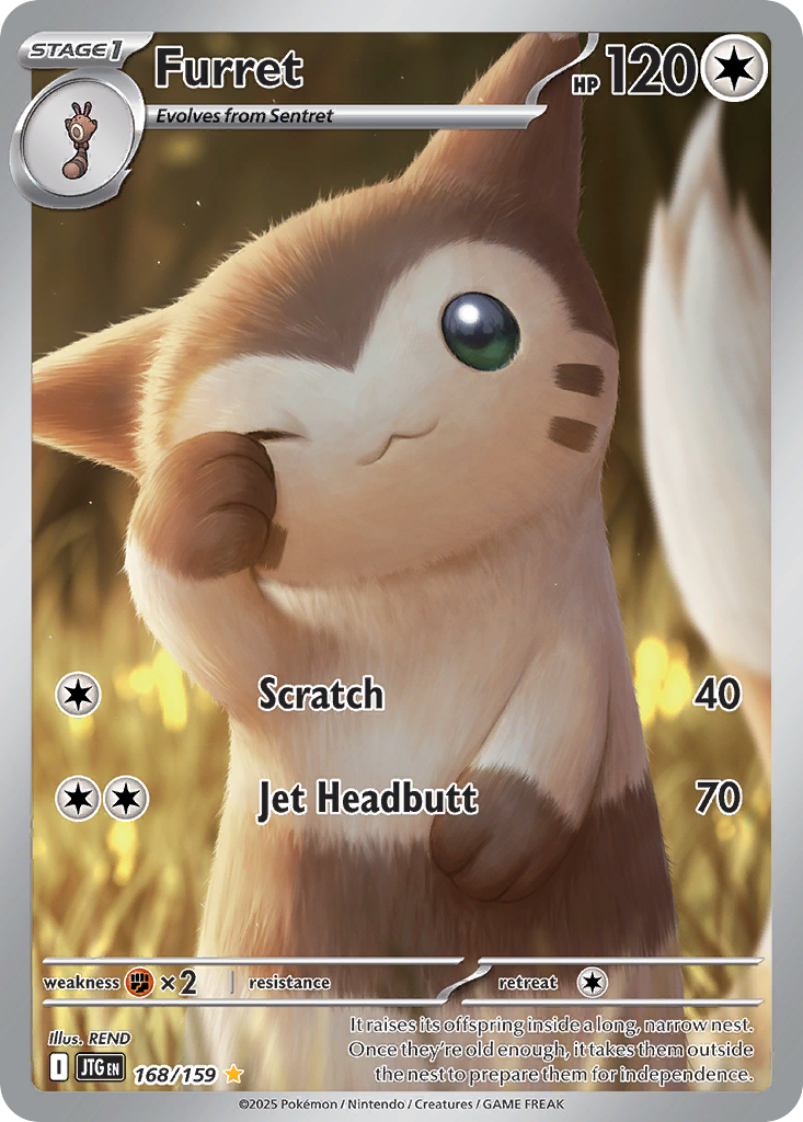 Furret (IR) (English)