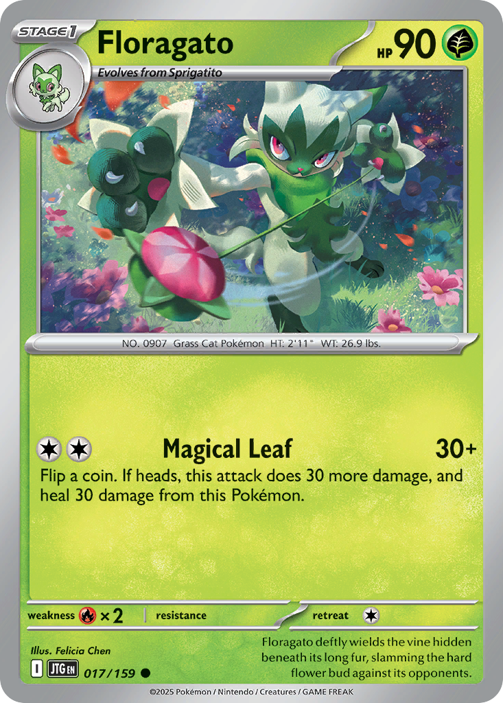 Floragato (English)