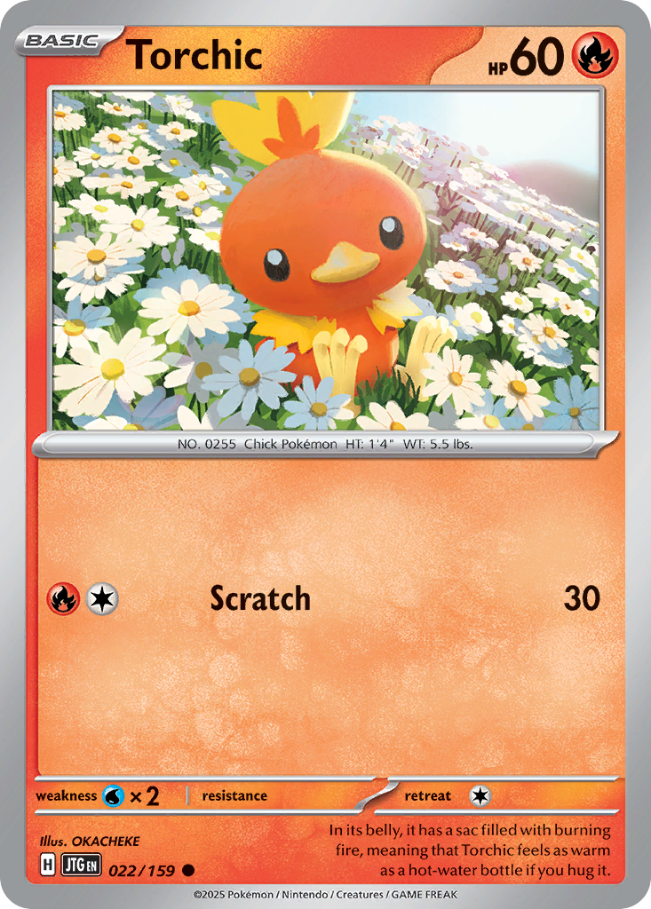 Torchic (English)