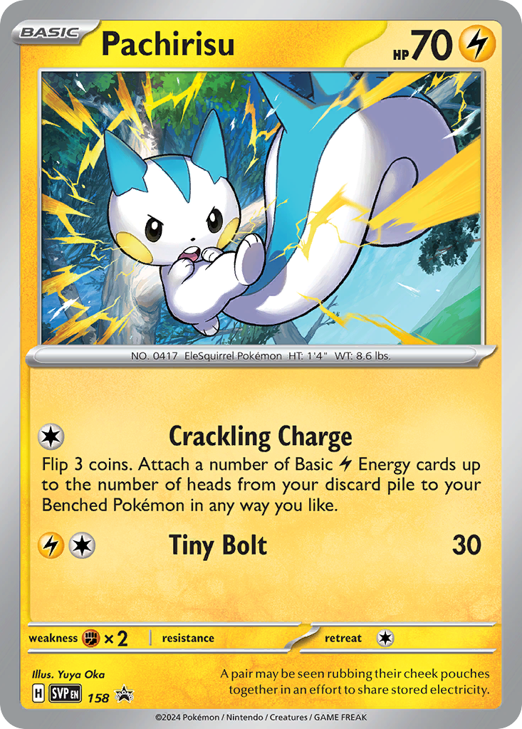 Pachirisu (English)