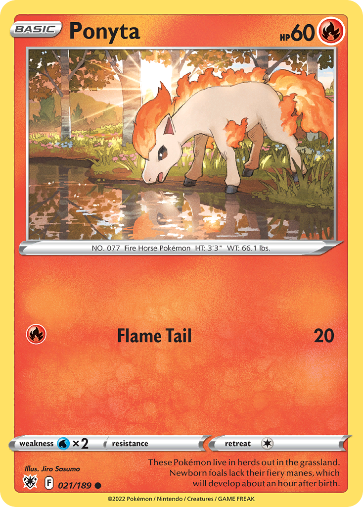 Ponyta (English)