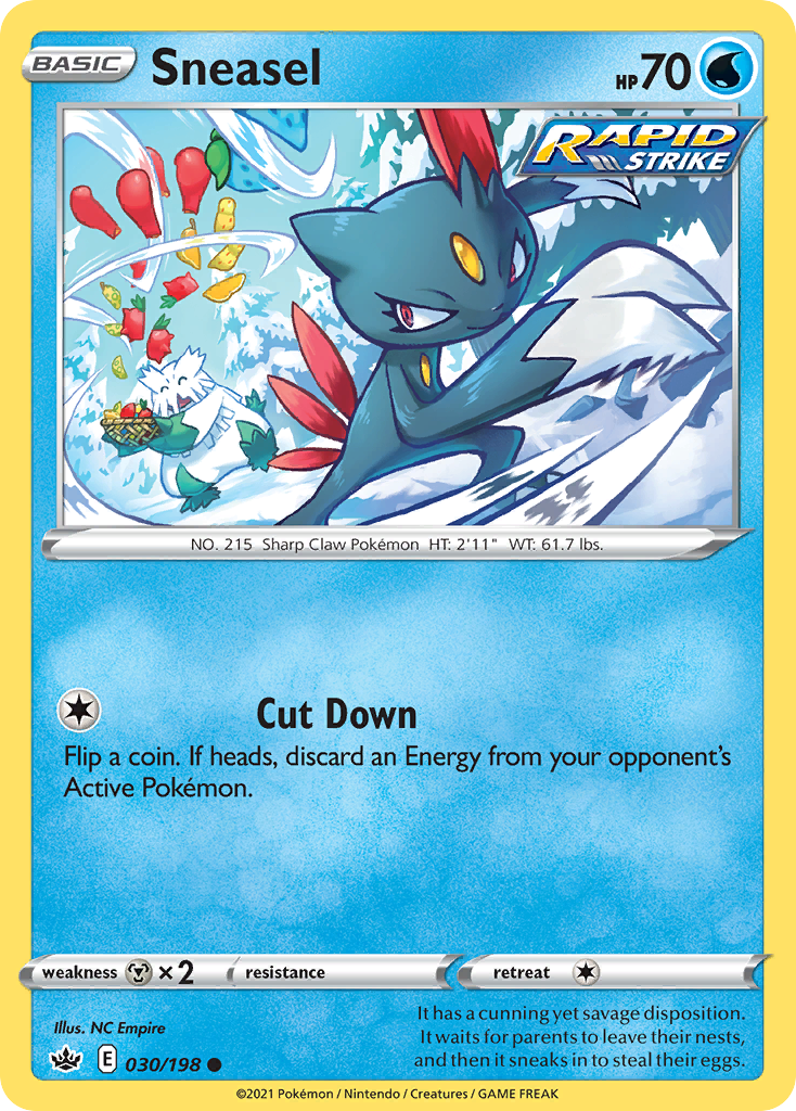 Sneasel (English)