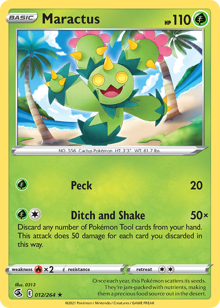 Maractus (English)