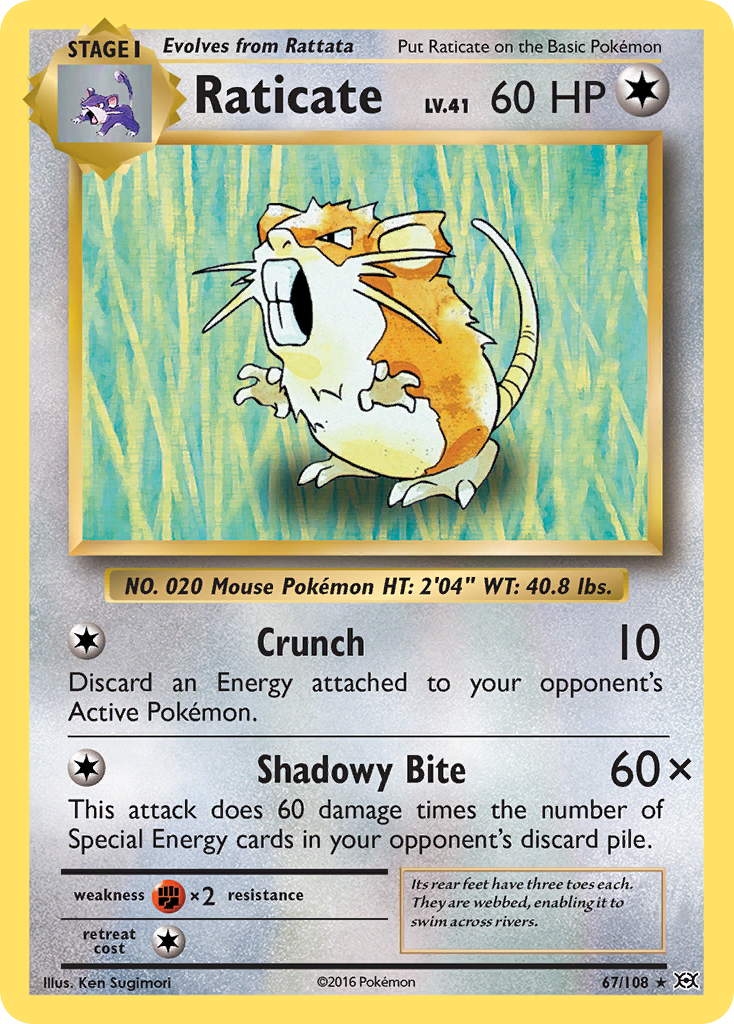 Raticate (English)