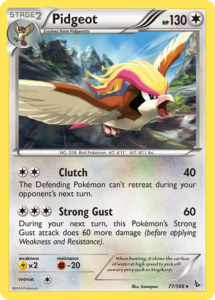 Pidgeot (English)