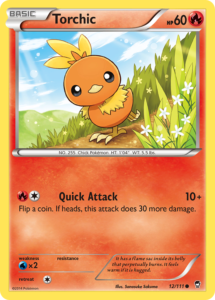 Torchic (English)