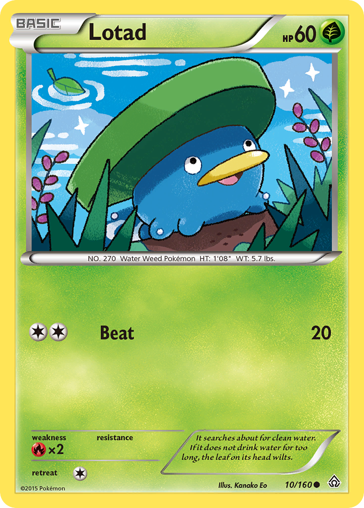 Lotad (English)