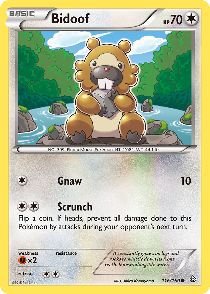Bidoof (English)