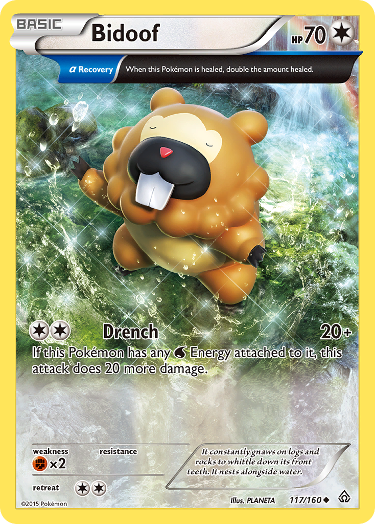 Bidoof (English)