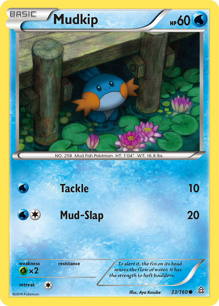 Mudkip (English)