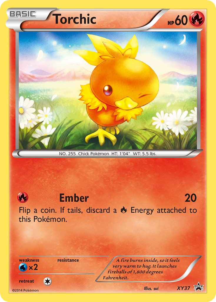 Torchic (English)