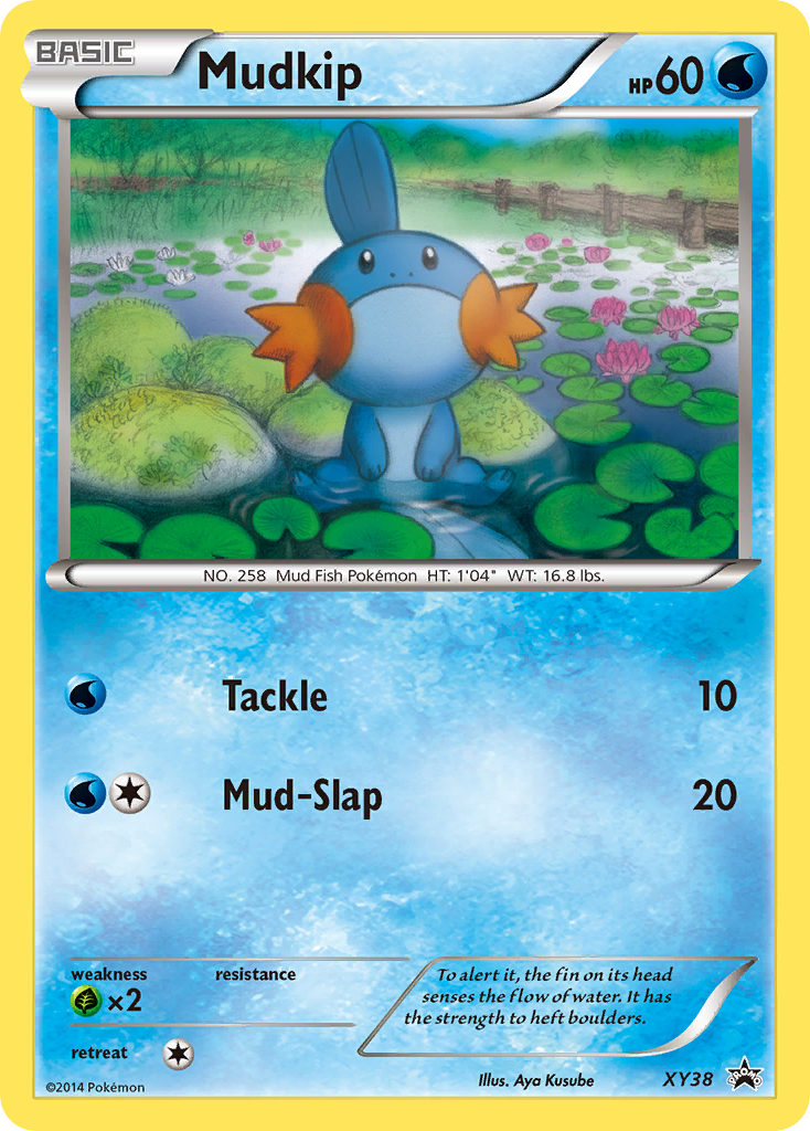 Mudkip (English)