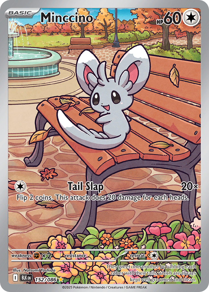 Minccino (IR) (English)