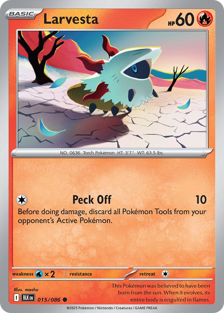 Larvesta (English)