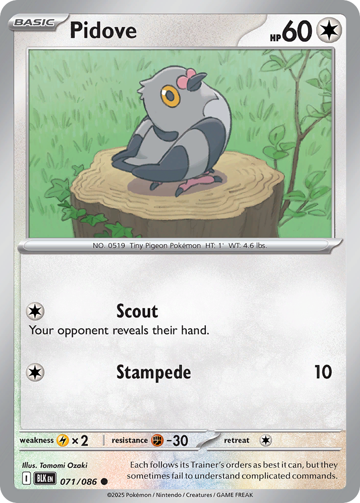 Pidove (English)
