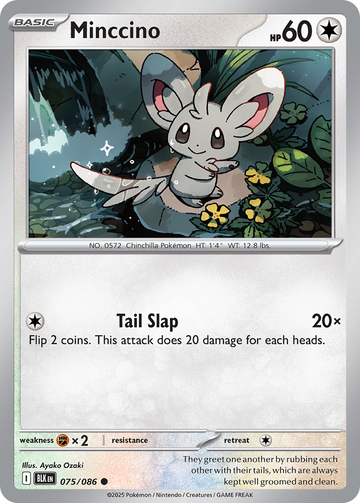 Minccino (English)
