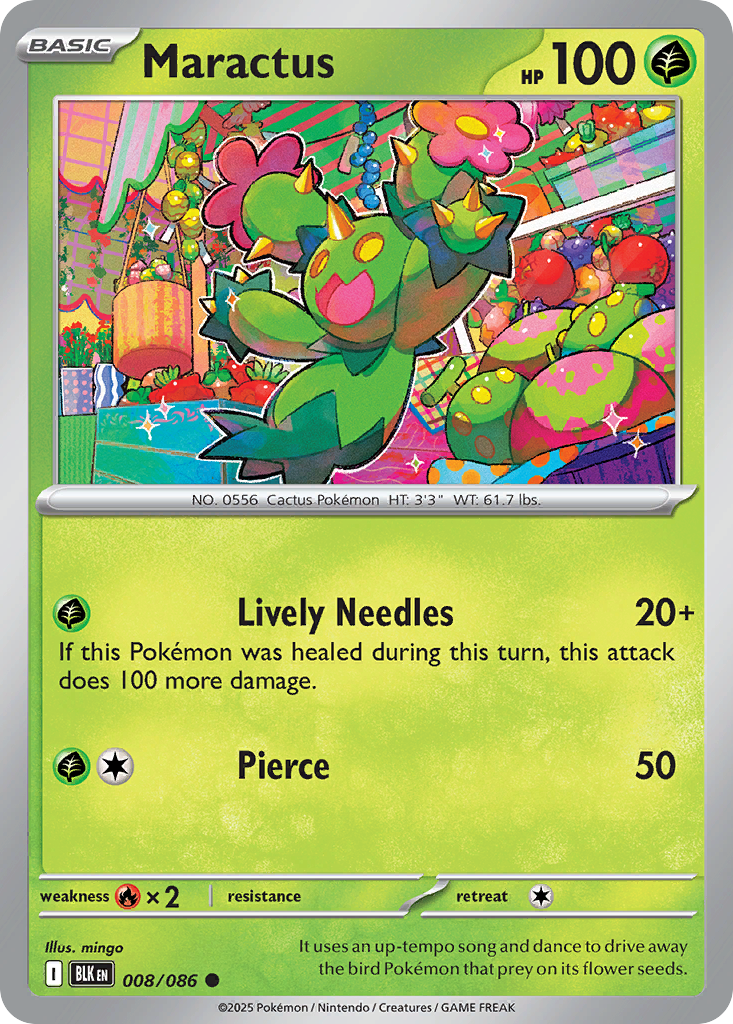 Maractus (English)