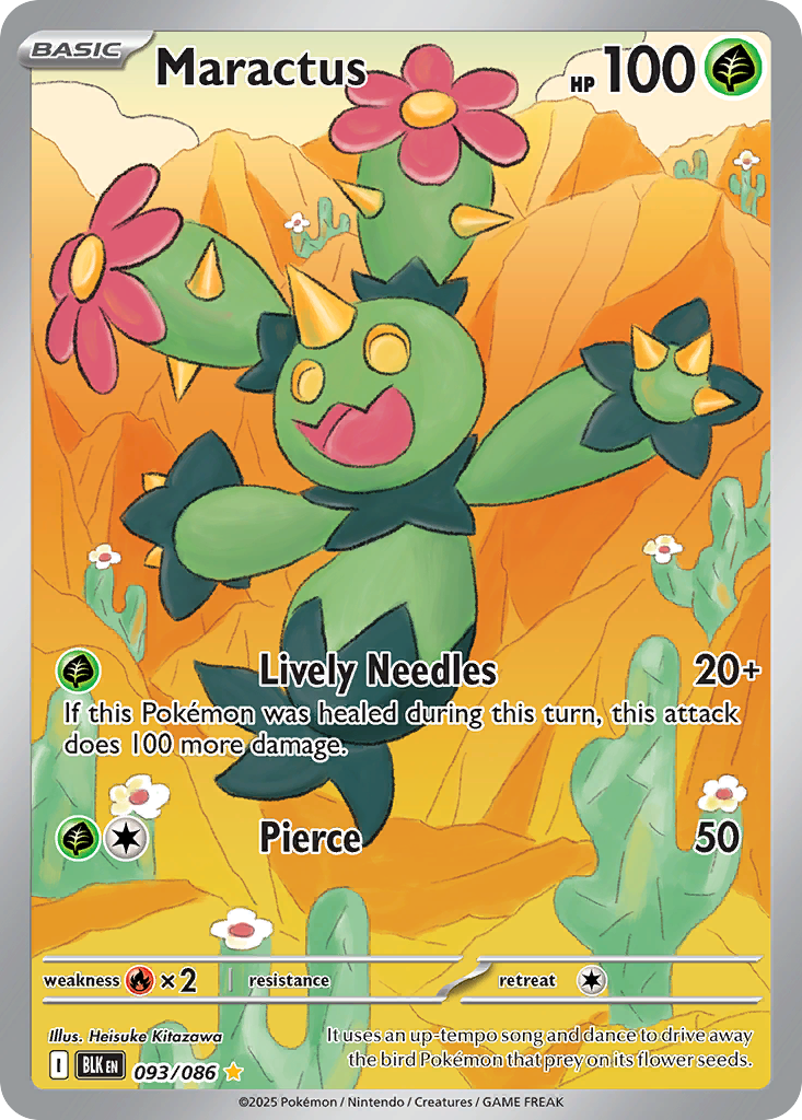 Maractus (IR) (English)