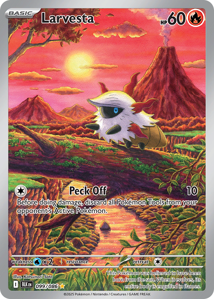 Larvesta (IR) (English)